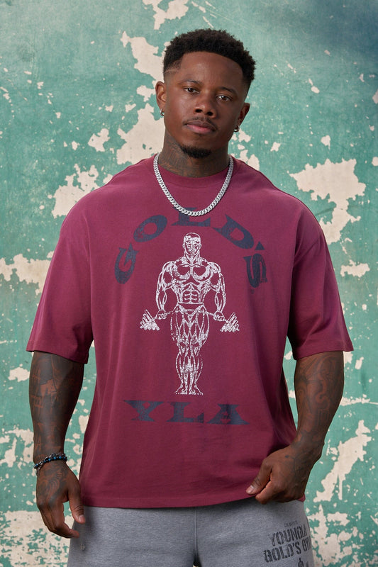 4213 - Gold's Iron Legacy Icon Tees