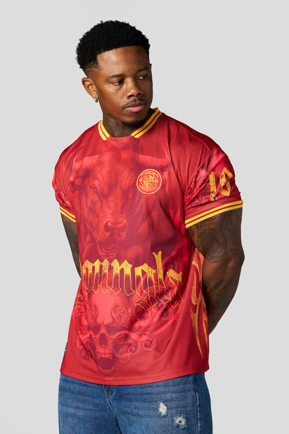 4215 - World Cup Soccer Jerseys