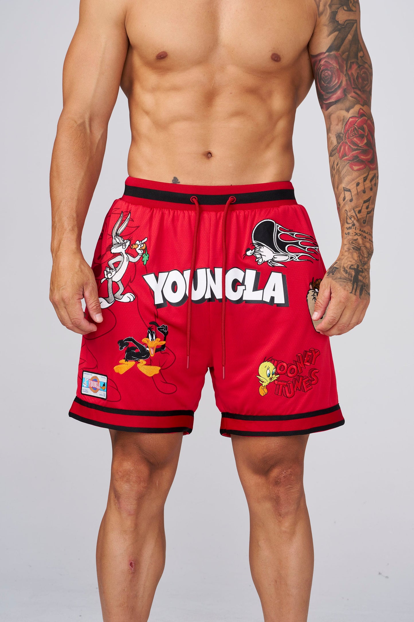 1071 - Looney Tunes Embroidered Patch Shorts