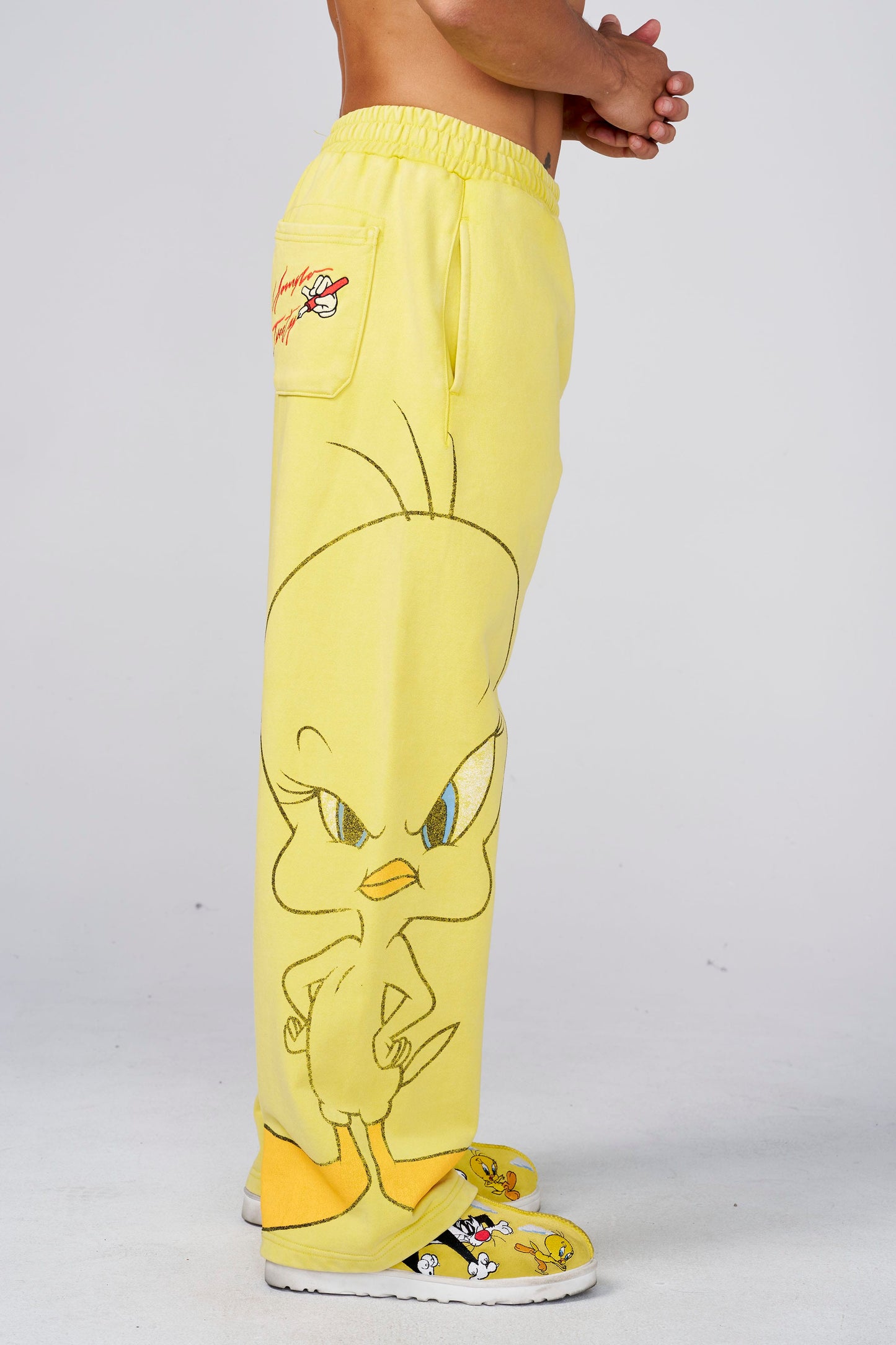 2169 - Looney Tunes Character Sweats