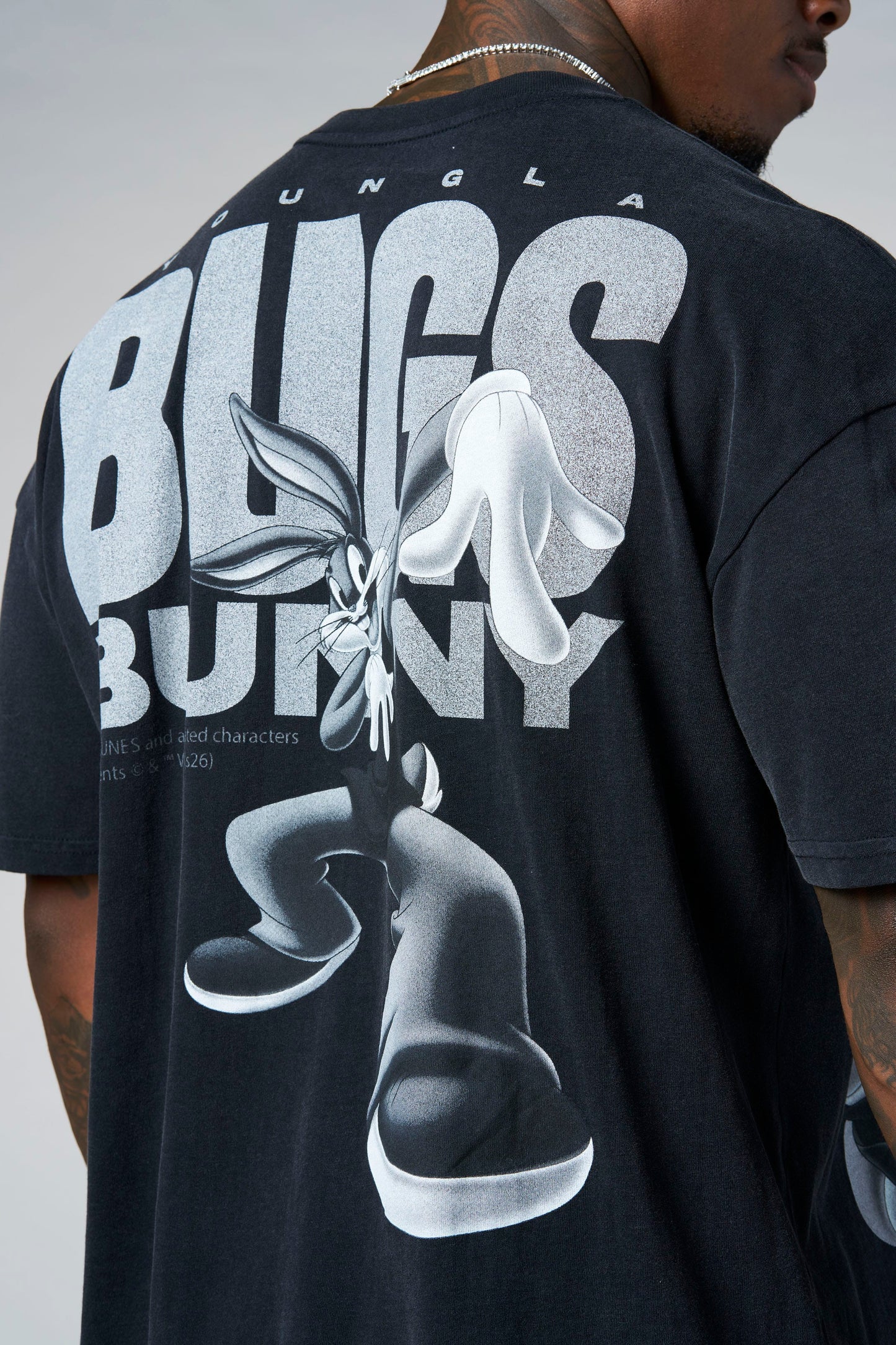 4291 - Looney Tunes Vintage Tees