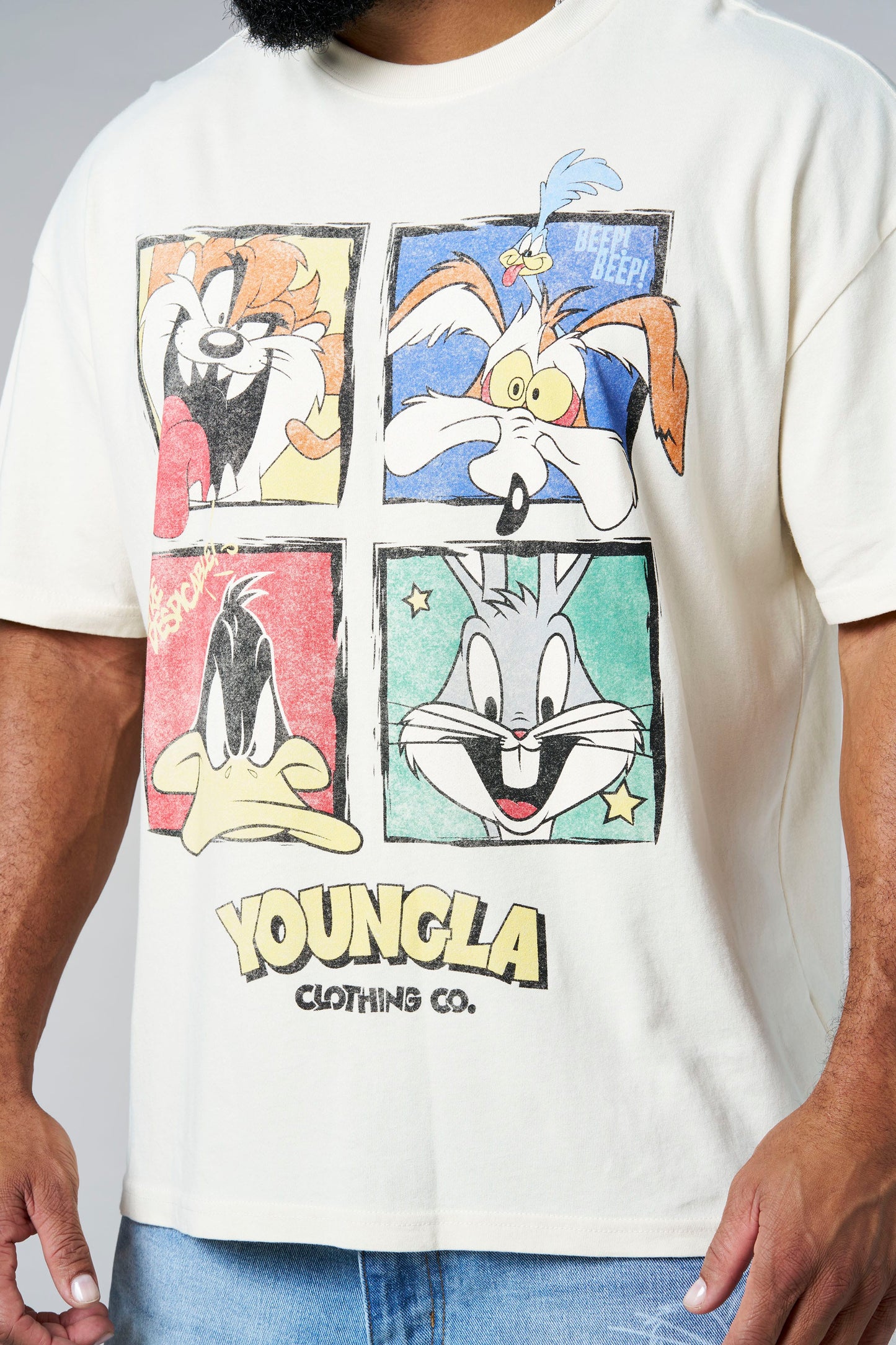 4291 - Looney Tunes Vintage Tees