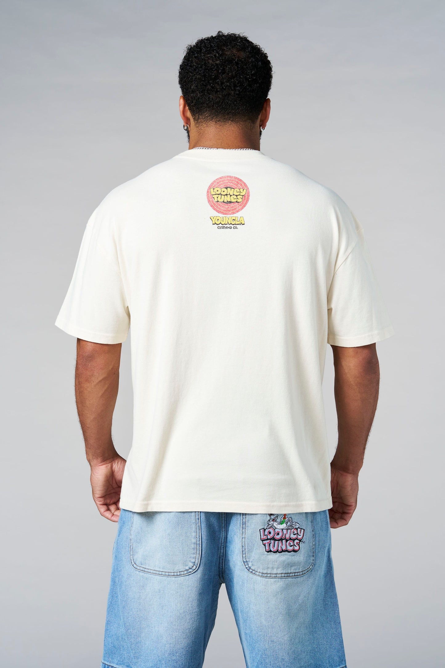 4291 - Looney Tunes Vintage Tees