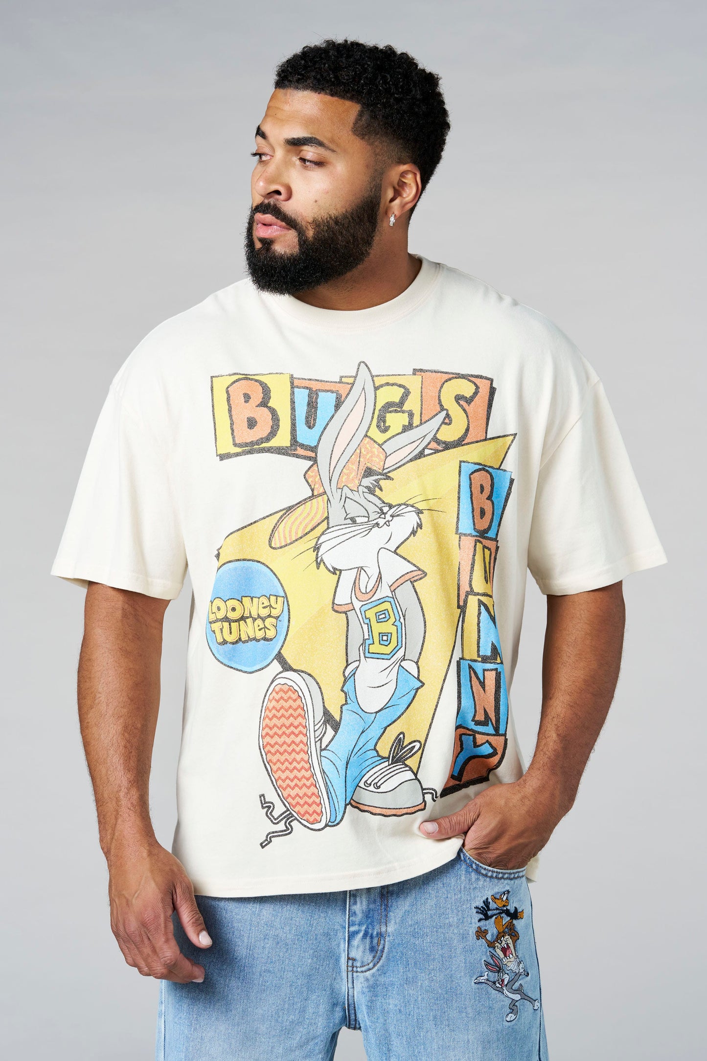 4291 - Looney Tunes Vintage Tees