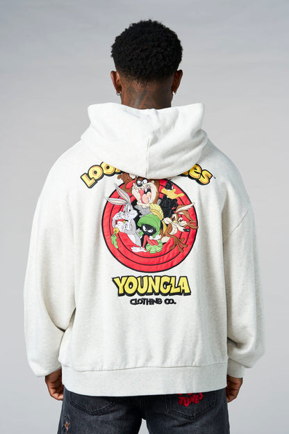 5114 - Looney Tunes Embroidered Hoodies