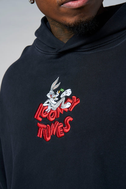 5114 - Looney Tunes Embroidered Hoodies