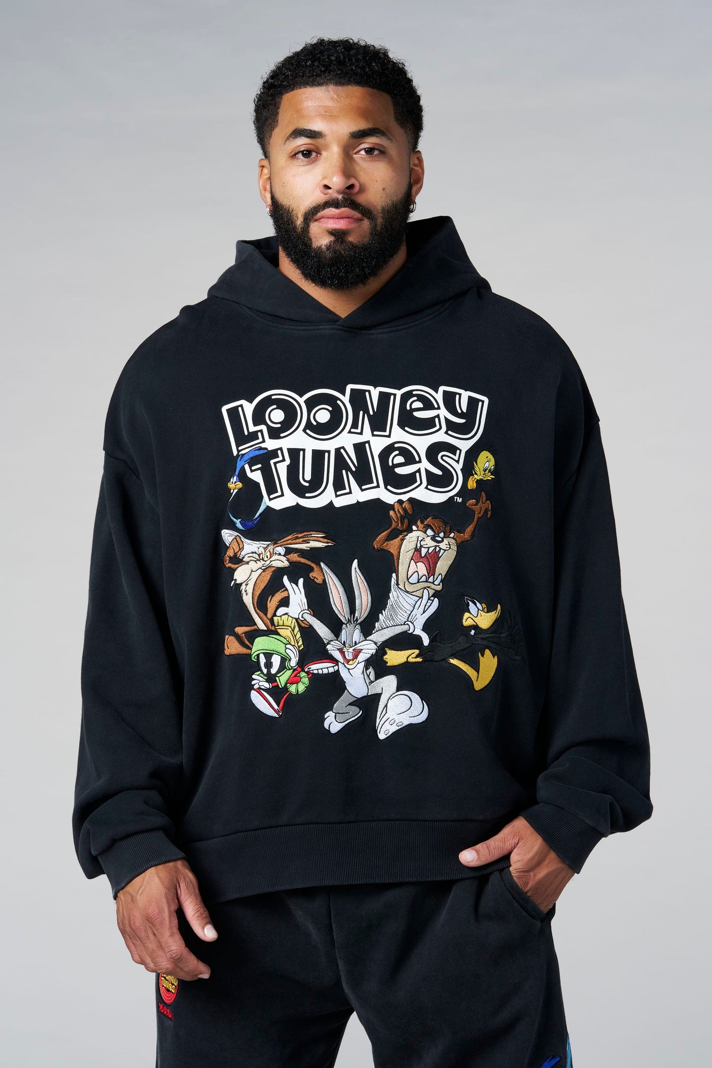 5114 - Looney Tunes Embroidered Hoodies