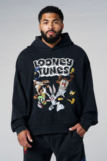 5114 - Looney Tunes Embroidered Hoodies