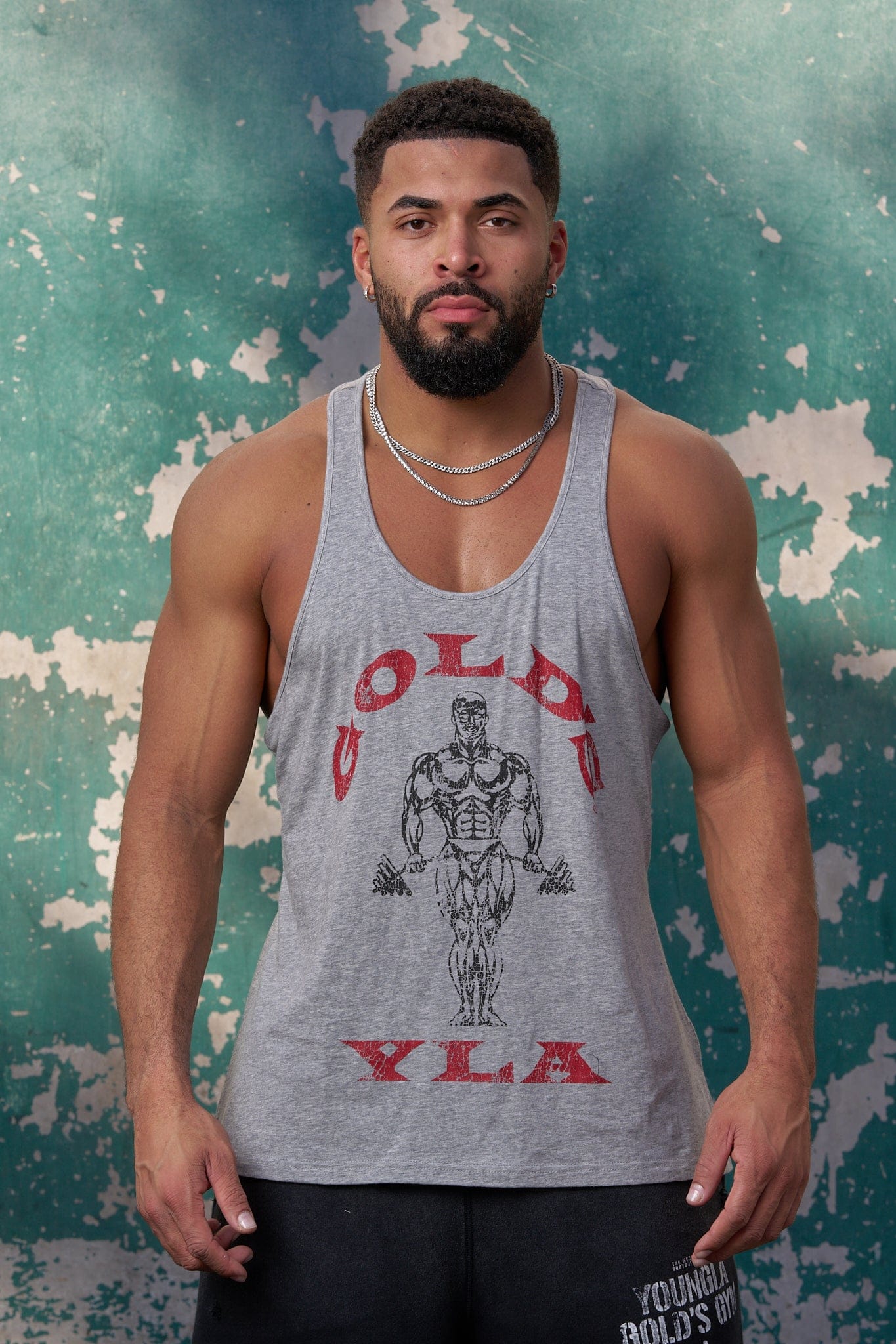 3003 - Gold's Iron Legacy Icon Stringers