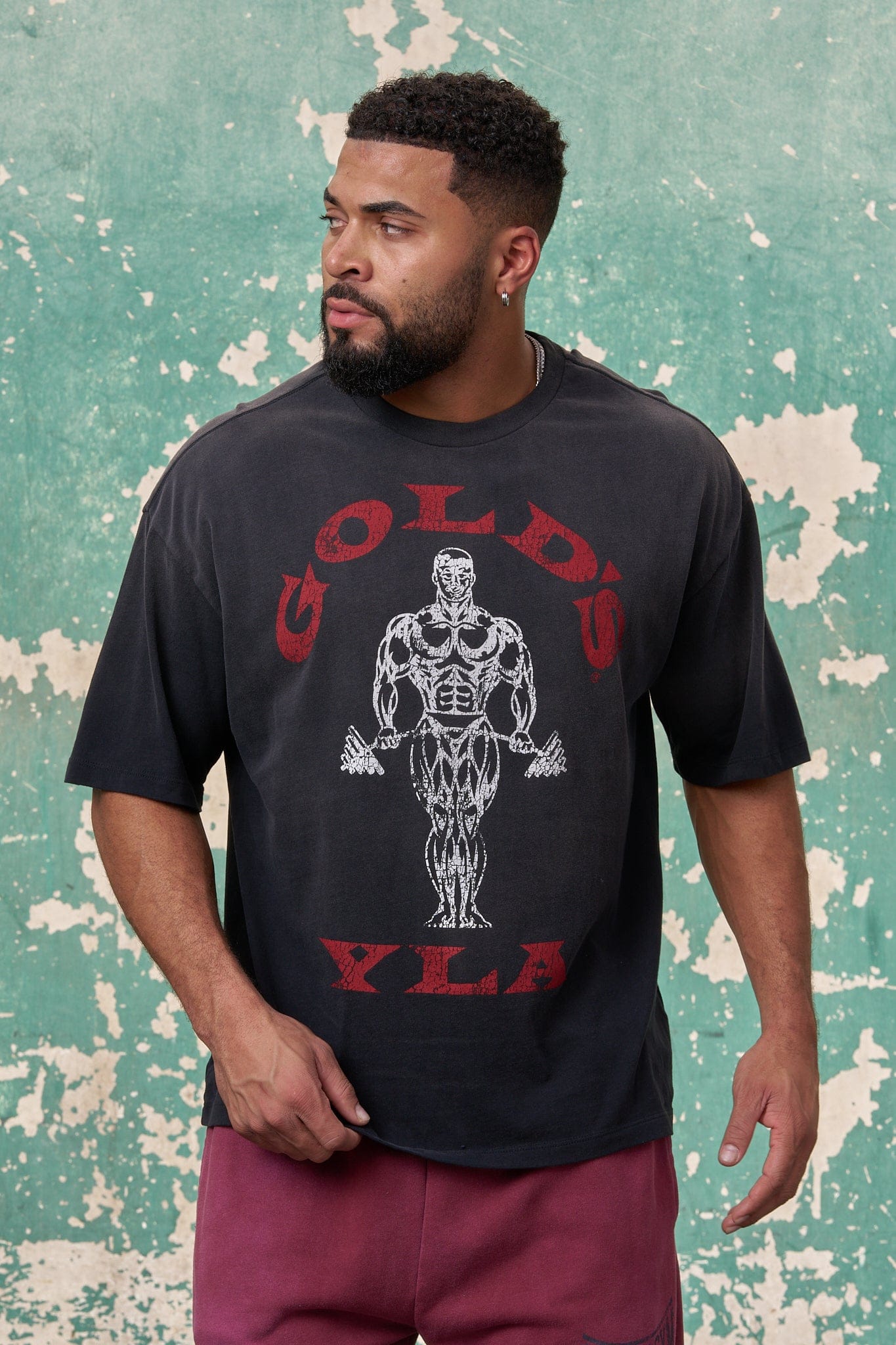 4213 - Gold's Iron Legacy Icon Tees