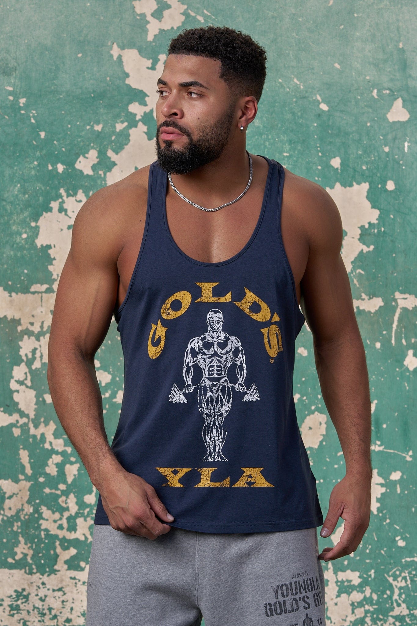 3003 - Gold's Iron Legacy Icon Stringers